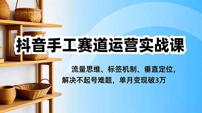 抖音手工赛道运营实战课，流量思维、标签机制、垂直定位，解决不起号难题，单月变现破3万-选优云网创