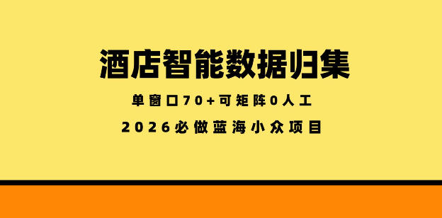 酒店智能数据归集,小众蓝海已经稳定半年之久,单窗口70+零成本矩阵开干【揭秘】-选优云网创