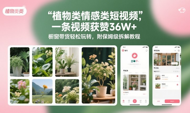 植物类情感类短视频，一条视频获赞36W+，橱窗带货轻松玩转，附保姆级拆解教程-选优云网创