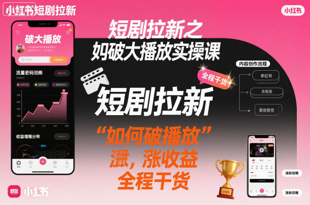 短剧拉新之小红书如何破大播放实操课，如何破播放，涨收益，全程干货-选优云网创