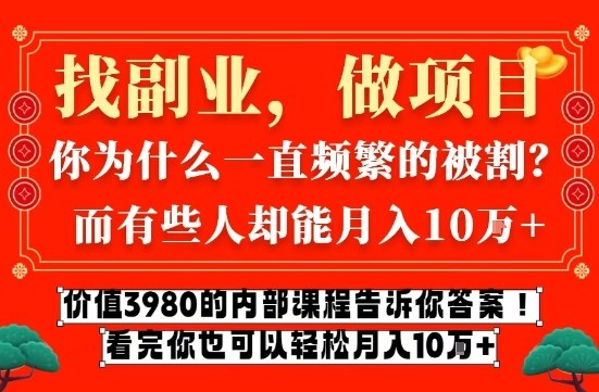 价值3980的网创内部课程，告诉你互联网创业月入10个W的秘密【揭秘】-选优云网创