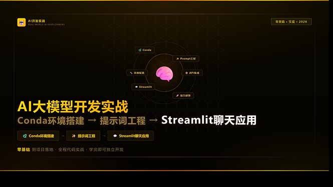 AI大模型开发实战:Conda环境搭建→提示词工程→Streamlit聊天应用,零基础到项目落地-选优云网创