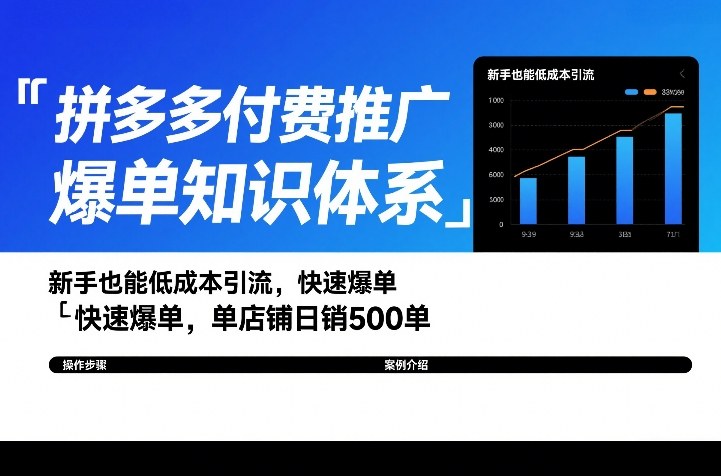 拼多多付费推广爆单知识体系，新手也能低成本引流，快速爆单，单店铺日销500单-选优云网创