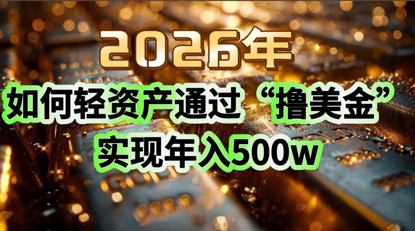 2026年如何轻资产通过“撸美金”实现年入500w-选优云网创