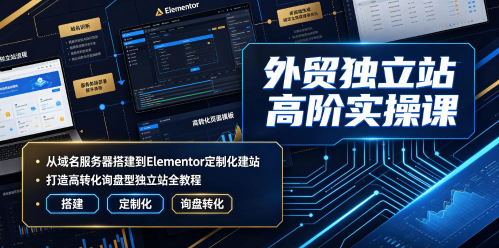 外贸独立站高阶实操课｜从域名服务器搭建到Elementor定制化建站，打造高转化询盘型独立站全教程-选优云网创