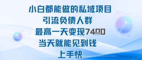 2025年小白都能做的私域项目引流负债人群最高一天变现1k+高变现难度低当天就能见到钱上手快-选优云网创