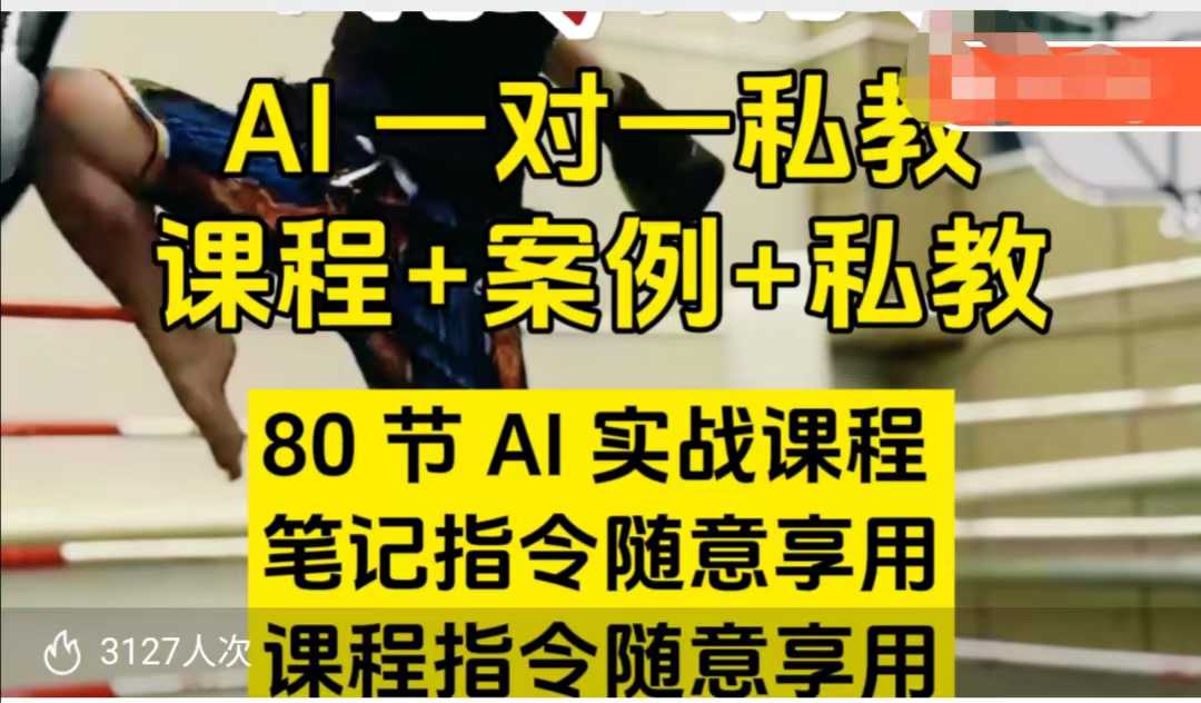 AI指令实战课，课程+案例，80节AI实战课程，笔记指令随意享用，课程指令随意享用(更新26年3月)-选优云网创