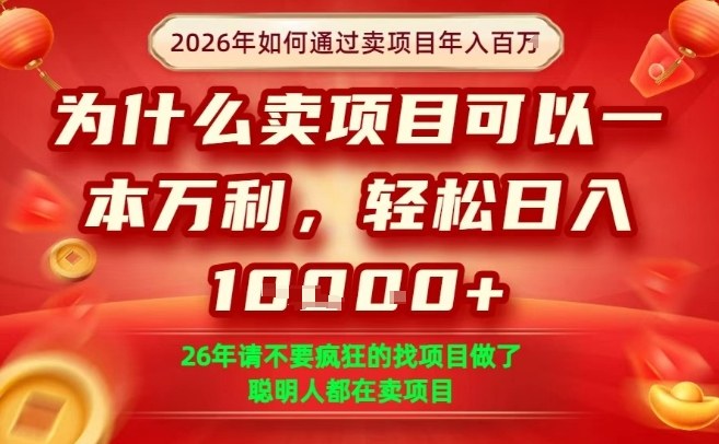 一单净利润1K+，26年想年入100个W，死磕卖项目就够了【揭秘】-选优云网创