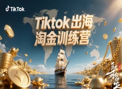 Tiktok出海淘金训练营，跨境电商TK实战变现-选优云网创