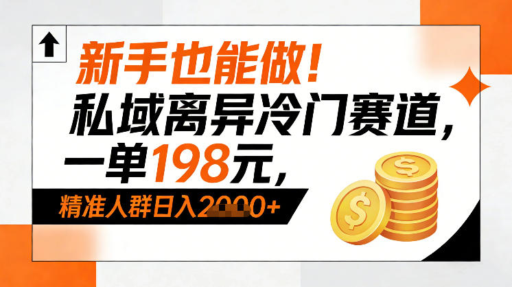 新手也能做！私域离异冷门赛道，一单198，精准人群日入1k+-选优云网创