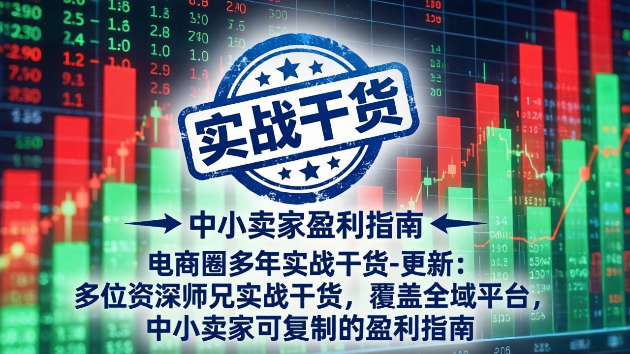 电商圈多年实战干货-更新4月：多位资深师兄实战干货，覆盖全域平台，中小卖家可复制的盈利指南-选优云网创