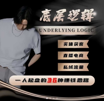 一个人起盘的底层逻辑，私域流量-直播电商-实体获客，一人起盘的36种賺钱思路-选优云网创