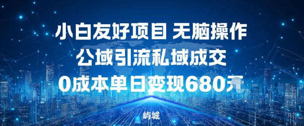 小白友好项目，无脑操作，公域引流私域成交，0成本单日变现680米-选优云网创