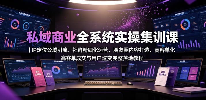 私域商业全系统实操课|IP定位公域引流、社群精细化运营、朋友圈内容打造、高客单成交与用户裂变完整落地教程-选优云网创
