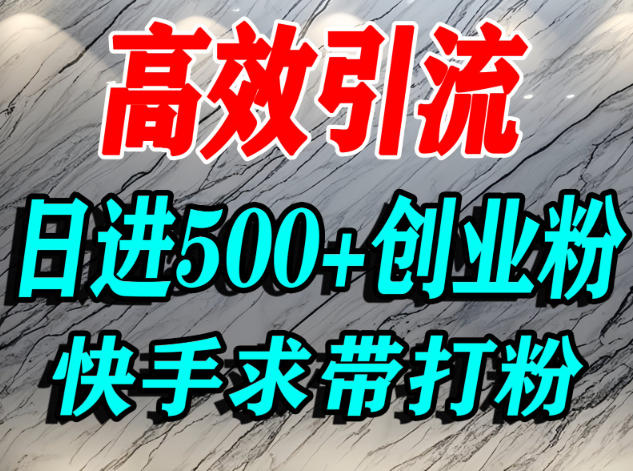 怎么打创业粉？快手求带视角精准引流创业粉，宝妈、学生群体日进500+精准流量-选优云网创