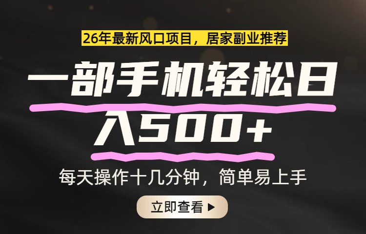 26年居家副业首选，一部手机轻松日入500+，长期稳定可做-选优云网创