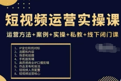 短视频运营实操课，运营方法+案例+实操+私教+线下闭门课-选优云网创