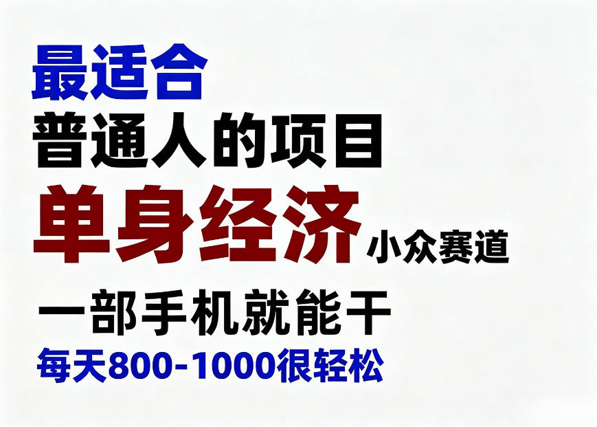 身经济小众赛道，一部手机就能干，每天搞个800-1000很轻松，最适合普通人的项目【揭秘】-选优云网创