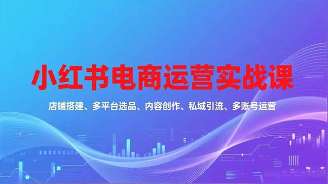 小红书电商运营实战课，店铺搭建、多平台选品、内容创作、私域引流、多账号运营等玩法-选优云网创