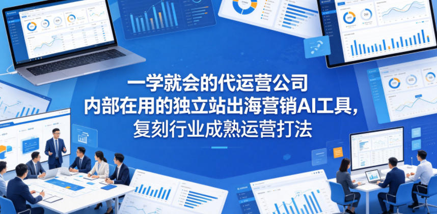 一学就会的代运营公司内部在用的独立站出海营销AI工具,复刻行业成熟运营打法-选优云网创