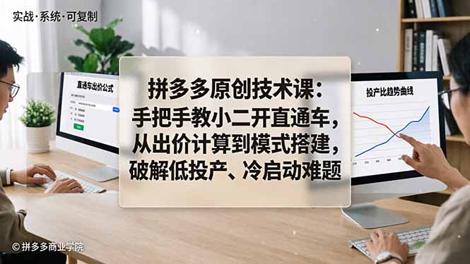 拼多多原创技术课：手把手教小二开直通车，从出价计算到模式搭建，破解低投产、冷启动难题-选优云网创