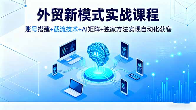 外贸新模式实战课程，账号搭建+截流技术+AI矩阵+独家方法实现自动化获客-选优云网创