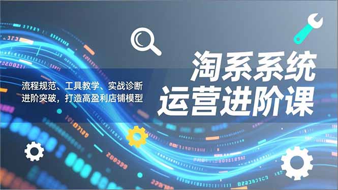 淘系系统运营进阶课2.0,流程规范、工具教学、实战诊断,进阶突破,打造高盈利店铺模型-选优云网创