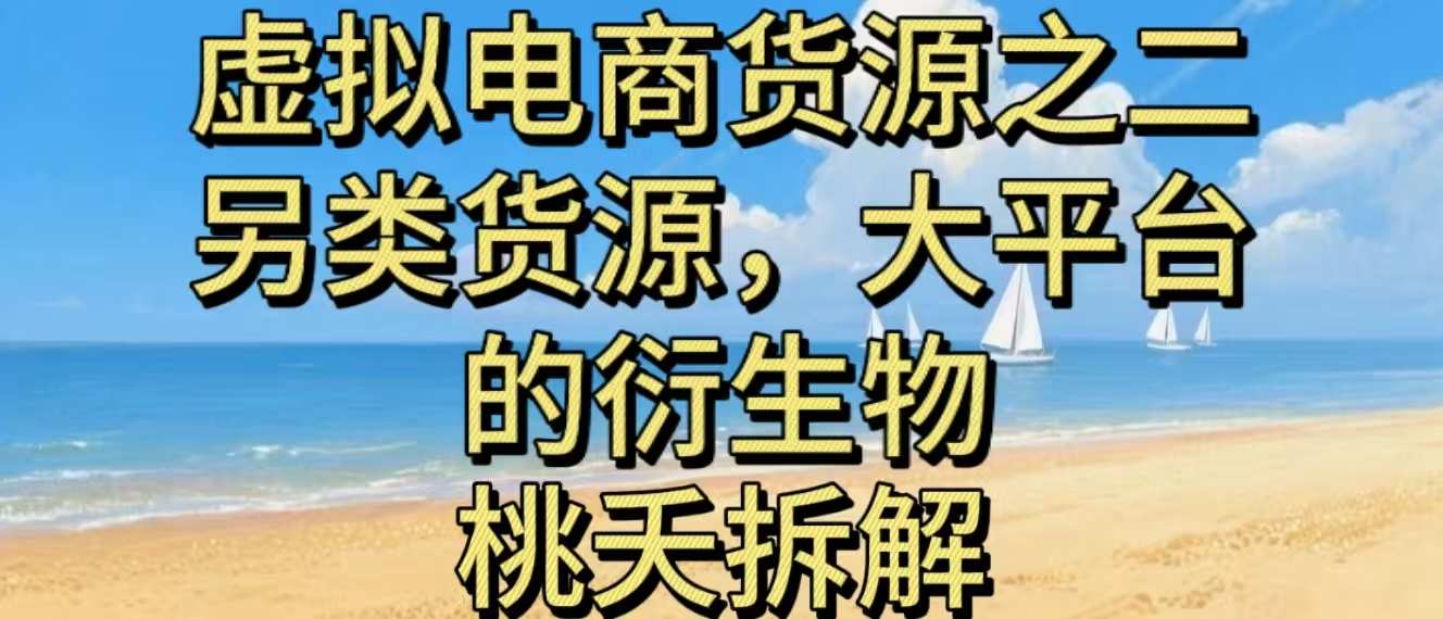 虚拟电商之二—另类的货源,大平台的衍生物-选优云网创