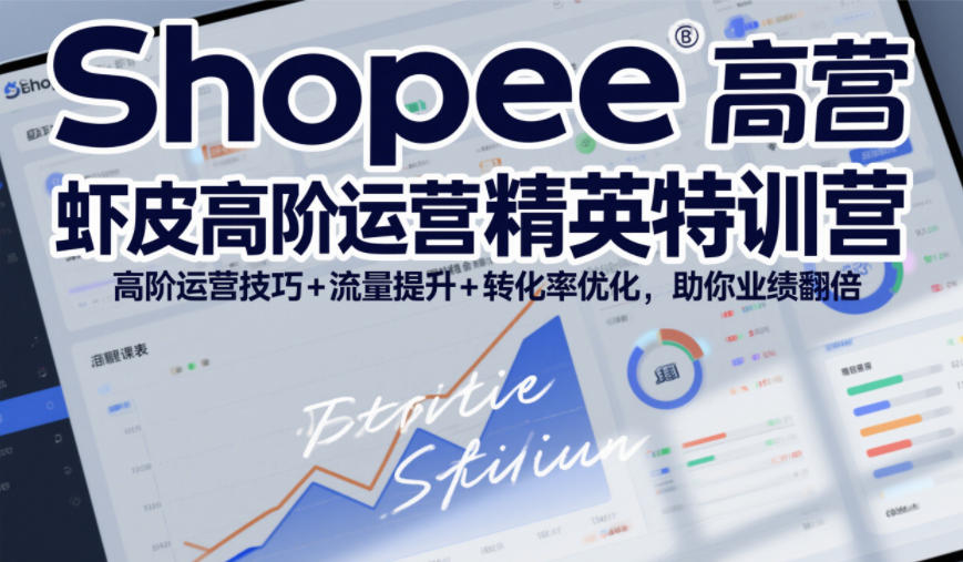 Shopee虾皮高阶运营精英特训营，高阶运营技巧+流量提升+转化率优化，助你业绩翻倍(更新26年7月)-选优云网创