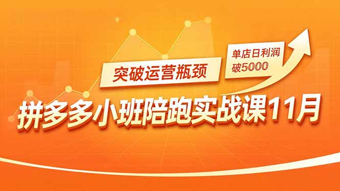 拼多多小班陪跑实战课11月，强付费矩阵、原价活动、暗券引流，突破运营瓶颈，单店日利润破5000-选优云网创