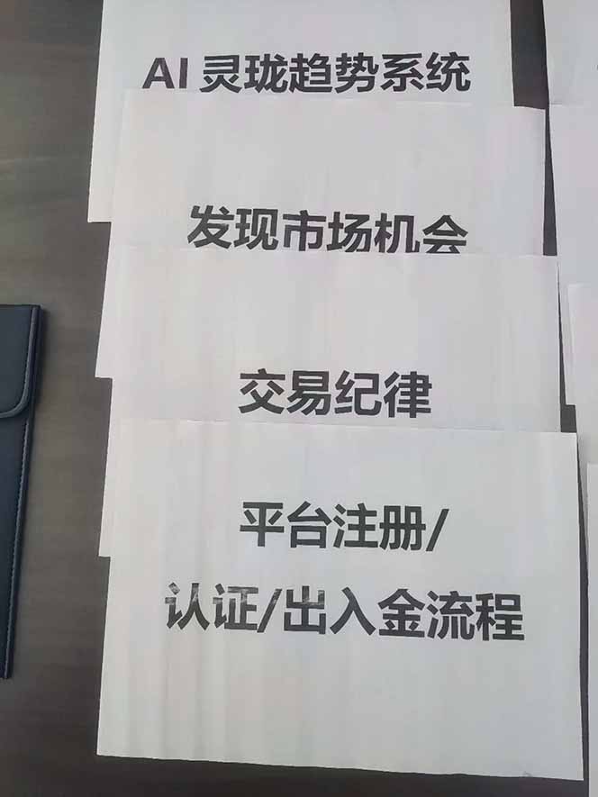 图片[3]-海外美金AI掘金项目，200U可入门槛，一天一单即可，每天1000-2000很轻松！-选优云网创