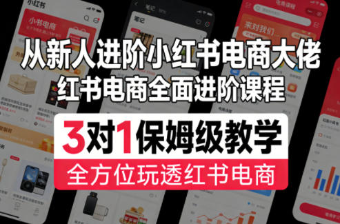 从新人进阶小红书电商大佬,红书电商全面进阶课程,3对1保姆级教学,全方位玩透红书电商-选优云网创