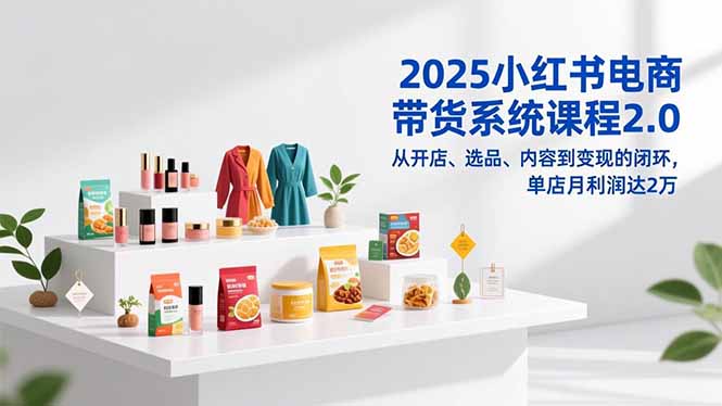 2025小红书电商带货系统课程2.0，从开店、选品、内容到变现的闭环，单店月利润达2万-选优云网创