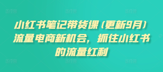 小红书笔记带货课，流量电商新机会，抓住小红书的流量红利(更新26年2月)-选优云网创