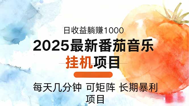 2025年最新番茄音乐人挂机项目，每天几分钟，月入1000＋，可矩阵，一台…-选优云网创