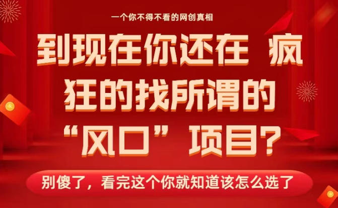 马上26年了，你还在找所谓的风口项目？别傻了，看完这个你全都懂了！【揭秘】-选优云网创