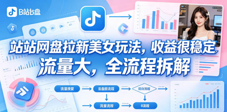 B站网盘拉新美女玩法,收益很稳定,流量大,全流程拆解-选优云网创