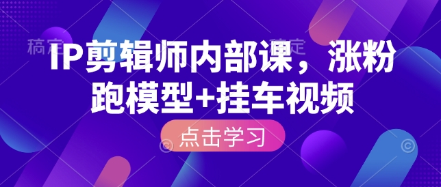 IP剪辑师内部课，涨粉跑模型+挂车视频(更新)-选优云网创