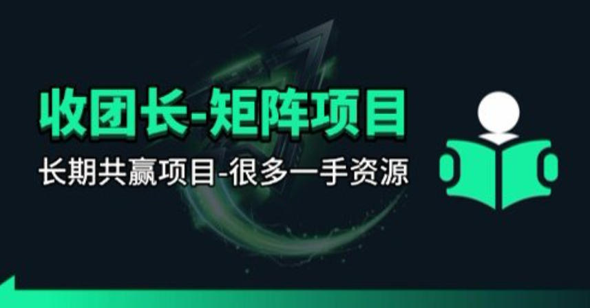 【团长合作】视频矩阵项目_招发手矩阵+剪辑师，共赢项目【揭秘】-选优云网创