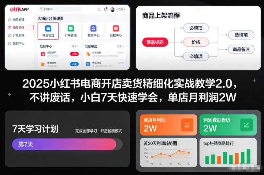 2025小红书电商开店卖货精细化实战教学2.0，不讲废话，小白7天快速学会，单店月利润2W-选优云网创