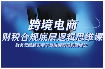 跨境电商财稅合规底层逻辑思维课，财务思维超实用于货讲解实现利润增长-选优云网创