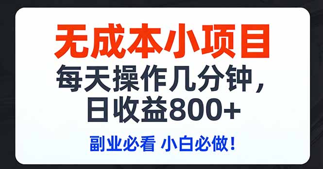 无成本小项目,每天操作几分钟,日收益800+ 副业必看 小白必做!-选优云网创