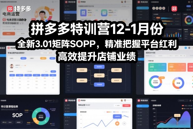 拼多多特训营12-1月份，全新3.01矩阵Sop，精准把握平台红利，高效提升店铺业绩-选优云网创