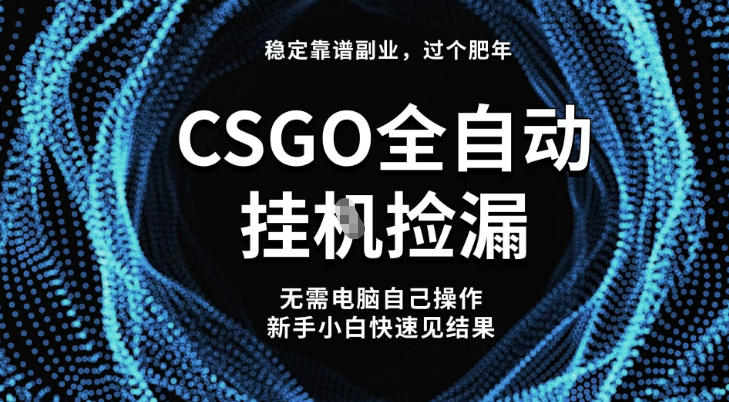 【稳定副业】全球最热门游戏CSGO全自动捡漏，最新玩法，新手小白日入5张+【揭秘】-选优云网创