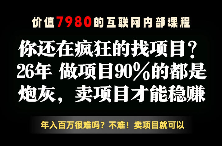 26年请不要疯狂的找项目了，卖项目远比你想象的暴利，你也可以月入10W+【揭秘】-选优云网创