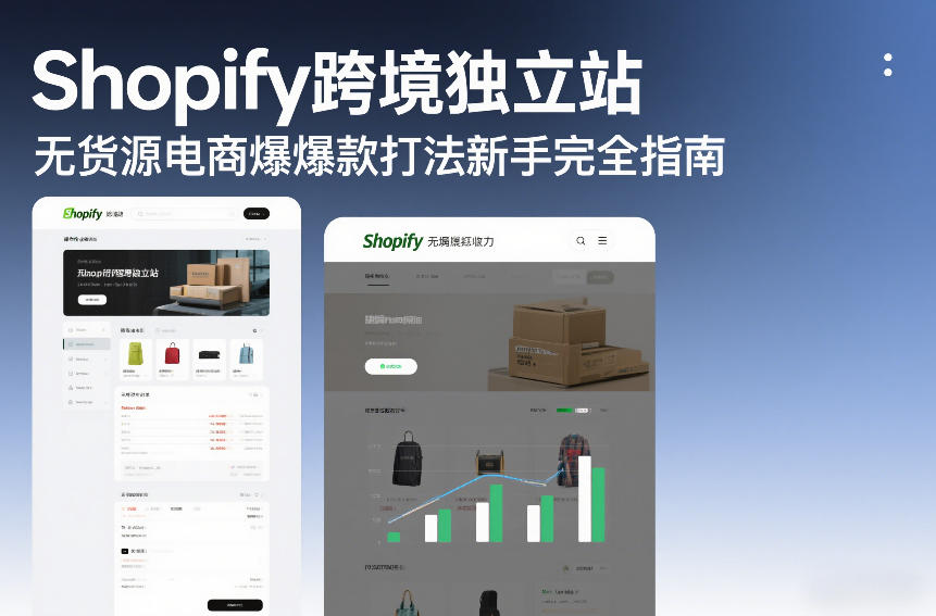 Shopify跨境独立站无货源电商爆款打法新手完全指南-选优云网创
