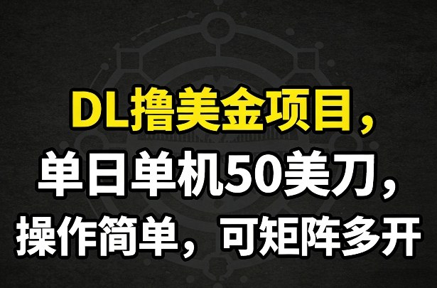 DL撸美金项目，单日单机50美刀，操作简单，可矩阵多开-选优云网创