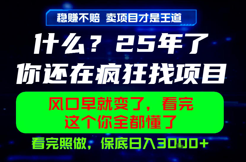 26年，请不要疯狂的找项目做了！卖项目才是真的稳賺不赔，看完照做，保底日入1k+【揭秘】-选优云网创