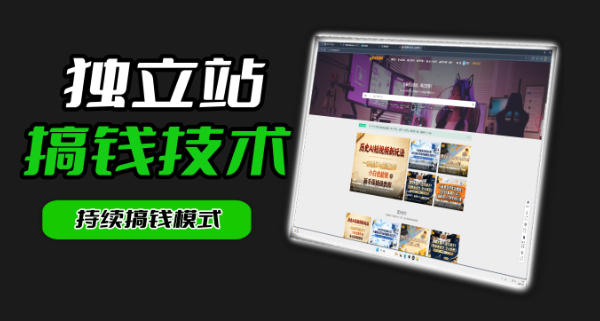 干货来袭！麦子甜带你吃透独立站｜从搭建到引流一站式教学《独立站》第一期-选优云网创