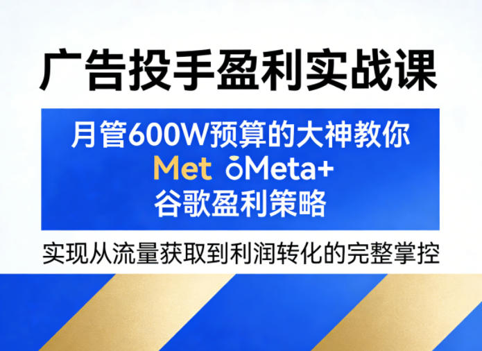 广告投手盈利实战课，月管600W预算的大神教你Meta+谷歌盈利策略，实现从流量获取到利润转化的完整掌控-选优云网创